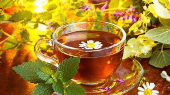 Dandelion Tea - The Health Cure