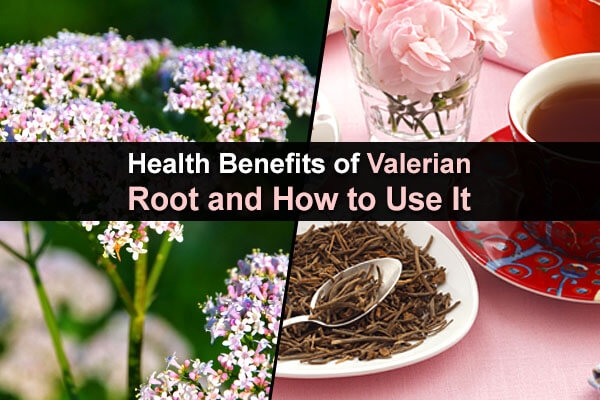 Valarian The Health Cure