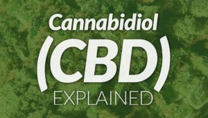 CBD Explained