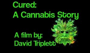 Cured A Cannabis Story
