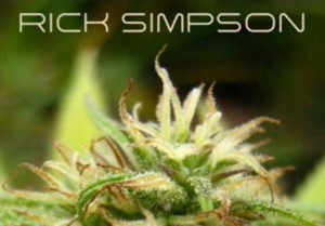 Radio Intervieuw With Rick Simpson
