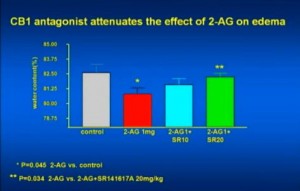 Brain Trauma, Neuroprotection & Cannabinoids