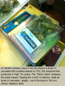 Israeli Company Removes THC for New Medicinal Marijuana