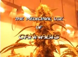 The Medicinal Use Of Cannabis