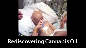 Rediscovering Cannabis Oil