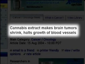 Marijuana, Cannabis and Cannabinoid Research (Documentary)