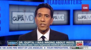 Dr. Sanjay Gupta Marijuana can be safer than narcotics