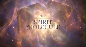 The Spirit Molecule