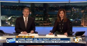 Hemp oil extract CBD being promoted as alternative health treatment for cancer, epilepsy