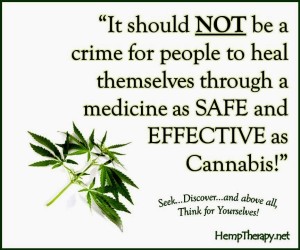 Cannabis Medicine 1