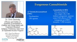 Orrin Devinsky Cannabidiol CBD