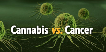 64 Studies That Show Cannabis Can Treat Various Cancers
