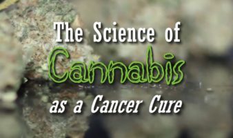 The Science of Cannabis as a Cancer Cure (Documentary)