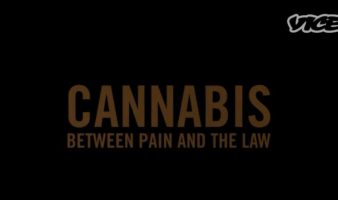 Serbian Cannabis: Between Pain and the Law