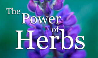 The Power Of Herbs - Full Herbal Medicine