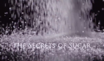 The Secrets of Sugar - The Fifth Estate