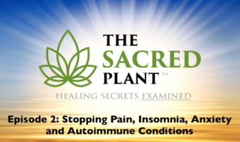 The Sacred Plant: Healing Secrets Examined - Episode 2