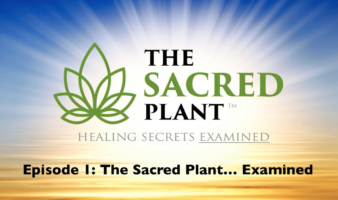 The Sacred Plant: Healing Secrets Examined - Episode 1