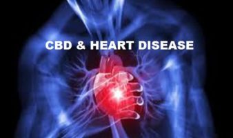 CBD Oil For Heart Disease