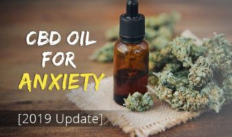 CBD Oil for Anxiety: Does it Work?