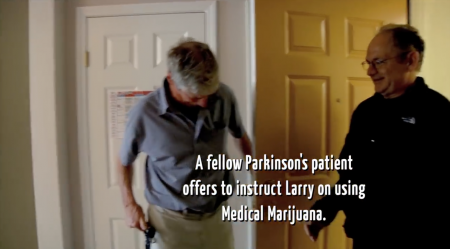 MEDICAL CANNABIS & PARKINSON'S II