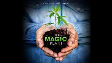 The Magic Plant