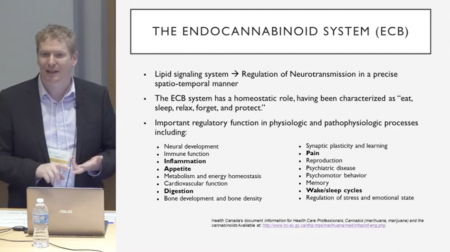 Dr. Danial Schecter, Family Physician, Co-Founder, Cannabinoid Medical Clinic: Medical Marijuana