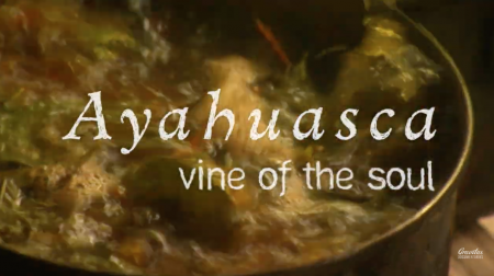 Ayahuasca - Vine of the Soul