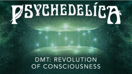 DMT: Revolution of Consciousness (Episode 4)