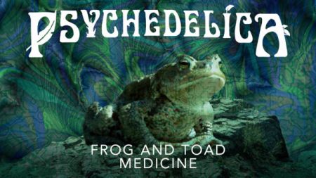Frog And Toad Medicine