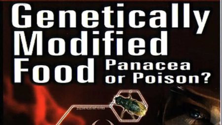 Genetically Modified Food: Panacea or Poison