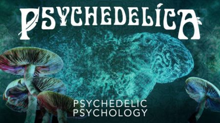 Psychedelic Psychology (S2-Episode 2)