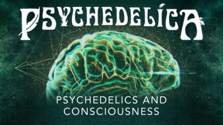 Psychedelics and Consciousness (Episode 1)
