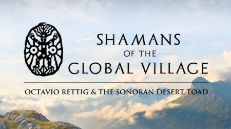 Shamans of the Global Village: Octavio Rettig & the Sonoran Desert Toad