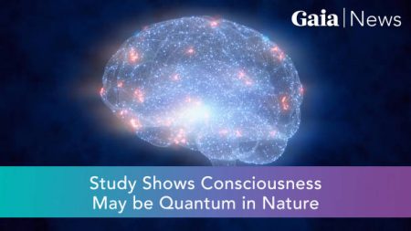 Study Shows Consciousness May Be Quantum in Nature