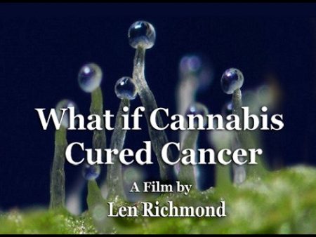 What If Cannabis Cured Cancer