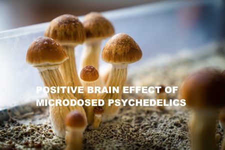 Study Confirms Microdosing Psilocybin Boosts Mental Health