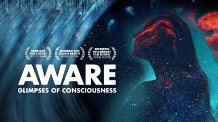 AWARE: Glimpses of Consciousness Part 2