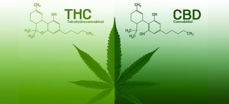 CBD  vs. THC: What Are the Differences?