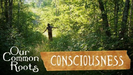 Our Common Roots - Consciousness (Episode 4)