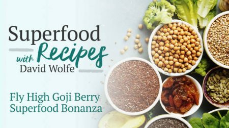 Fly High Goji Berry Superfood Bonanza