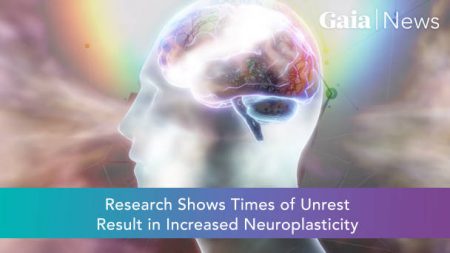 Research Shows Times of Unrest Result in Increased Neuroplasticity