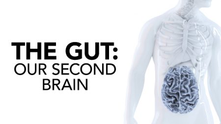 The Gut: Our Second Brain