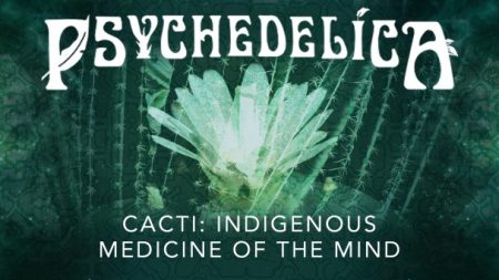 Cacti: Indigenous Medicine of the Mind (Episode 6)