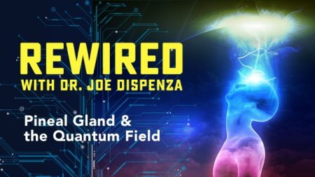 Dr. Joe Dispenza Rewired Episode 10 - Pineal Gland & the Quantum Field