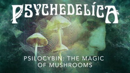 Psilocybin: The Magic of Mushrooms (Episode 5)