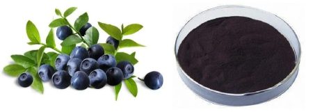 What is Vaccinium Myrtillus Extract good for?