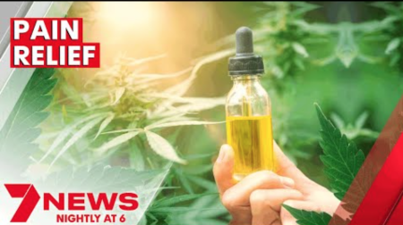 Cannabis oil emerging as powerful treatment for pain relief