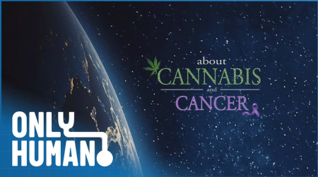 About Cannabis & Cancer - Treating Illness With Cannabis: Does It Work?