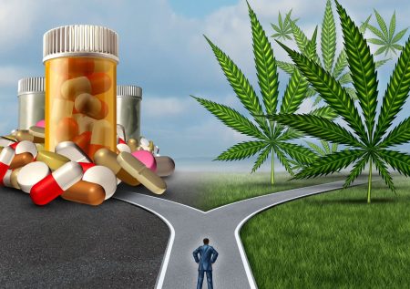 Can cannabis replace opioids?